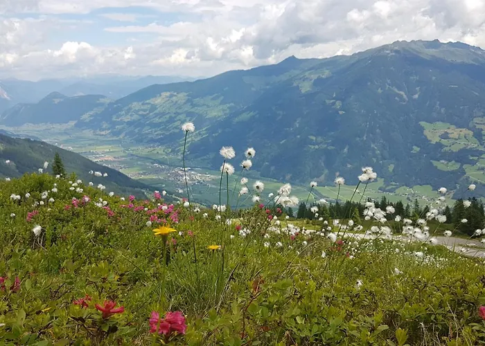 Alpen Quartier