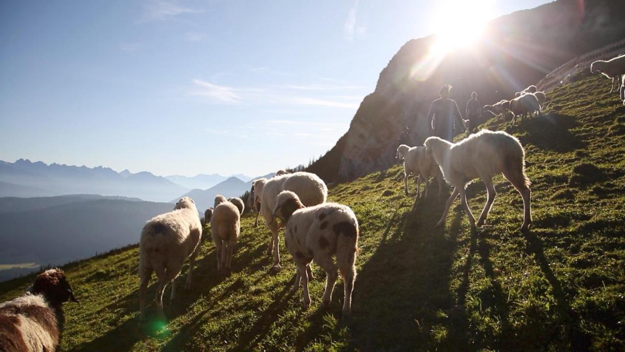 Alpen Quartier
