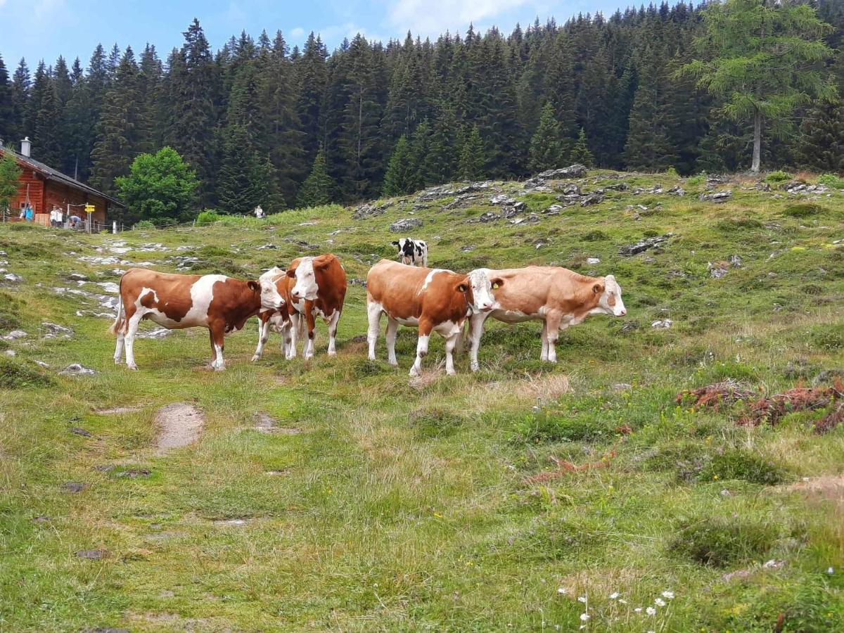 Alpen Quartier Uderns