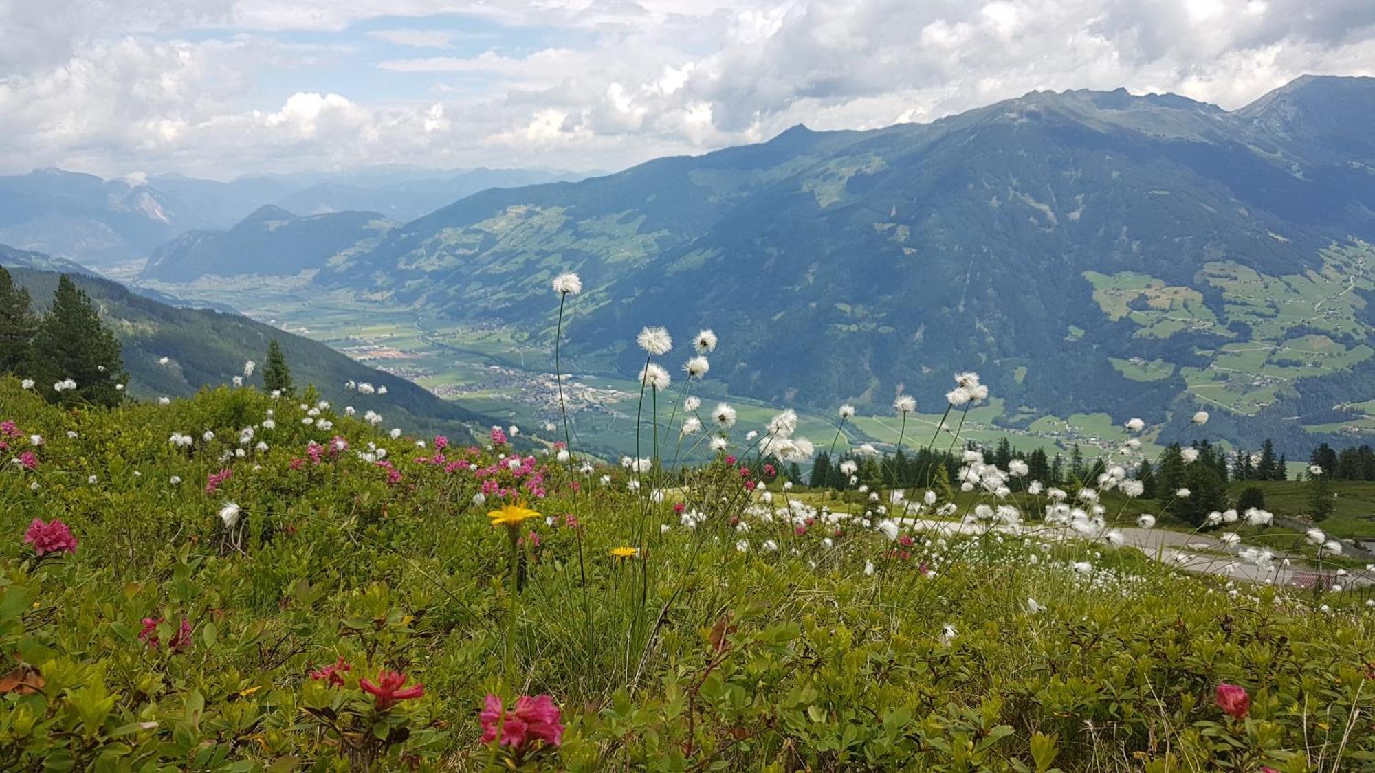 Apartment Alpen Quartier *